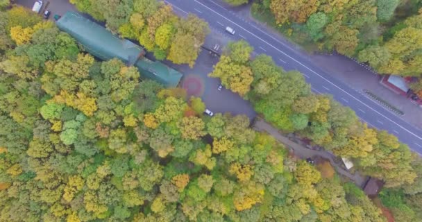 Aerial View hösten skogen med Road — Stockvideo