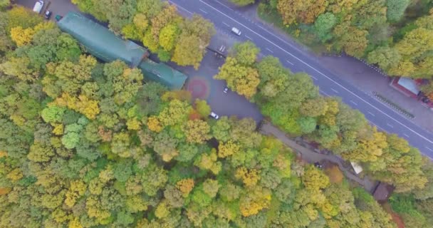 Foresta autunnale vista aerea con strada — Video Stock