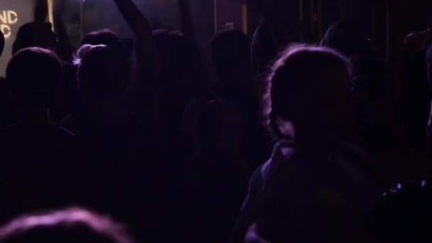 球迷们享受音乐节的音乐 — 图库视频影像