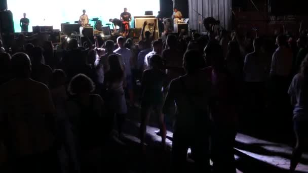 Fãs desfrutam de música no festival — Vídeo de Stock