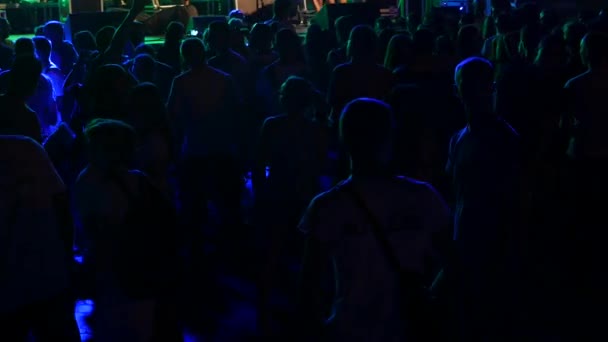 Partyvolk bei einem Konzert — Stockvideo