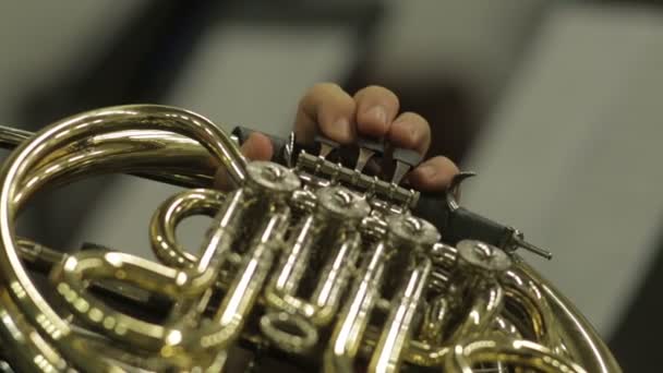Keys And Valves Of A Concert French Horn — Stock Video