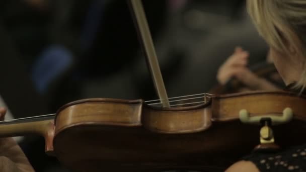 Рука на струнах скрипки — стоковое видео