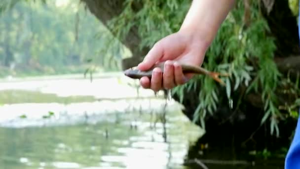 Niño sosteniendo un pez en su mano cámara lenta — Vídeo de stock