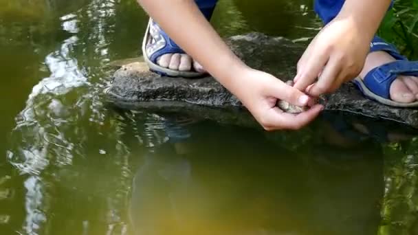 Rapaz deixa vai câmera lenta de pequenos peixes — Vídeo de Stock