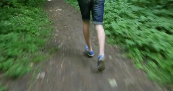 Coureur de sentier masculin courant dans la forêt sur un sentier — Video