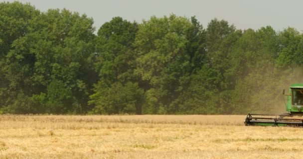 Moderne Mähdrescher ernten Getreide auf dem Feld — Stockvideo