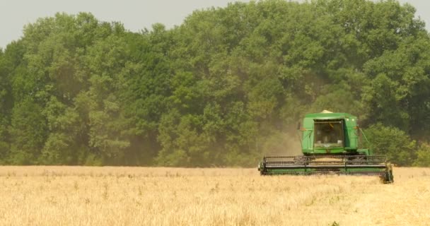 Moderne Mähdrescher ernten Getreide auf dem Feld — Stockvideo