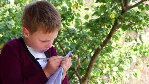 Хлопчик сидить на лавці біля дерев і пише — стокове відео