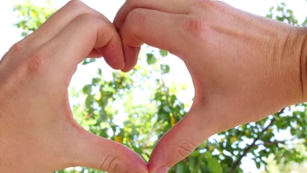 Руки объединяются, чтобы создать форму сердца — стоковое видео