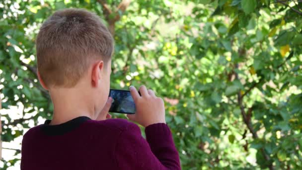 Niño tomando fotos de la naturaleza — Vídeo de stock