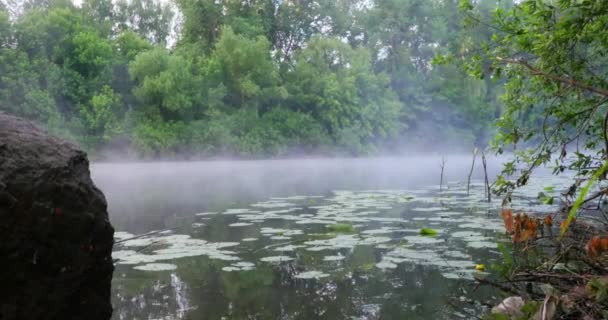 Утренний туман на реке — стоковое видео