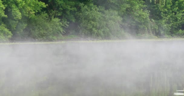 Niebla de la mañana en el río — Vídeos de Stock