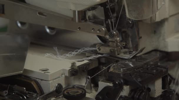 Macchina da cucire Overlock industriale a cinque fili — Video Stock