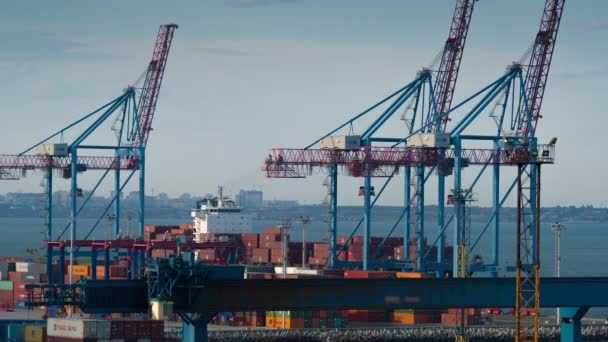 Containerterminal im Hafen — Stockvideo