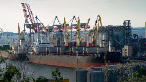 Puente grúa de trabajo en el astillero — Vídeo de stock