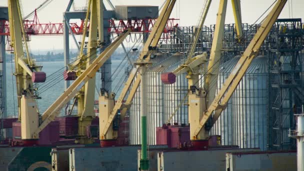 Cranes standing in yard at container terminal — Stock Video