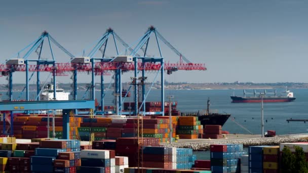 Containerterminal für die Schifffahrt — Stockvideo