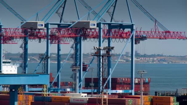 Containerterminal i hamnen — Stockvideo