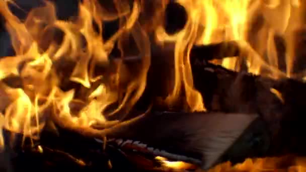 Textura de fuego hermosa abstracta con escamas de chispa — Vídeo de stock