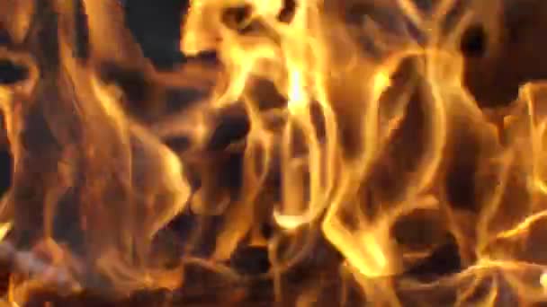 Forró, mint a pokol lángja koncepció, elvont gyönyörű tűz textúra a szikra pelyhek — Stock videók