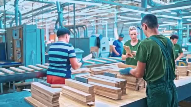 Ausrüstung in der Holzfabrik — Stockvideo