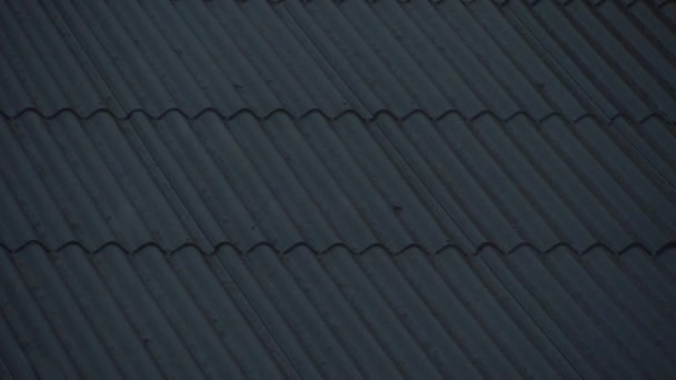 Дождь стекает с крыши — стоковое видео