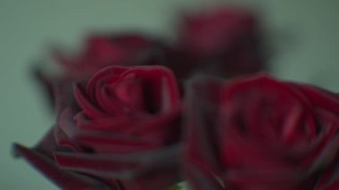 Kırmızı gül arkaplanı