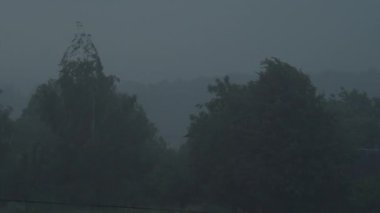 Ağaçları kaplayan sert yağmur