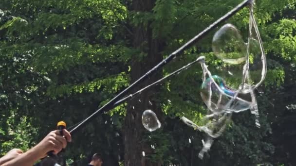 Small and big bubbles at outdoor festival in city center — Video