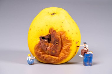 Minyatür figürler büyük, kusurlu bir elma üzerinde çalışır, lekelerin üzerini boyarlar. Sahne, gerçeklik ve yaratıcılığın eşsiz bir karışımını yakalıyor..