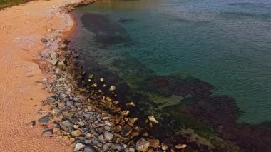 Sahne, Bulgaristan 'daki sakin bir sahilin havadan çekilmiş görüntüsü, kumlu sahili, berrak suları ve kayalık bir kıyı şeridini gözler önüne seriyor..