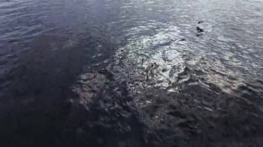 Bulgaristan 'ın sakin suları üzerinde uçan bir dron yansıtıcı yüzeyi ve manzaranın doğal güzelliğini sergiliyor. Sakin sahne su ortamını vurguluyor..