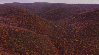 Canlı sonbahar renkleri Bulgaristan 'ın tepelerini kaplayarak güzel bir manzarayı gözler önüne seriyor. Hava perspektifi turuncu, kırmızı ve yeşil yaprakların zengin renklerini ortaya koyuyor..