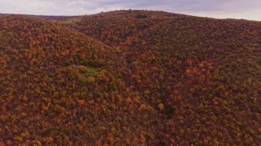 Bulgaristan 'ın yamaçlarını parlak sonbahar renkleri kaplayarak turuncu ve sarı renkler sergiliyor. Doğal manzara dingin ve büyüleyici, mevsimsel değişimi yansıtıyor..