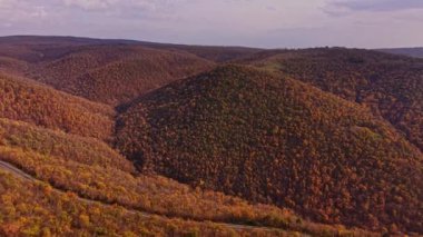 Canlı sonbahar yaprakları, yumuşak bir akşam ışığı altında portakal, sarı ve yeşilliklerden oluşan çarpıcı bir palet sergileyerek Bulgaristan 'ın kayan tepelerini kaplıyor.