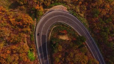 Bulgaristan 'da hava manzarası, canlı sonbahar yapraklarıyla çevrili dolambaçlı bir yol yakalıyor. Manzara sonbaharın zengin renklerini sergiliyor..