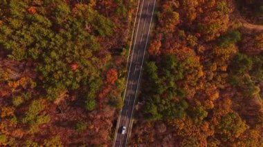 Sakin bir hava manzarasında Bulgaristan 'da canlı sonbahar yapraklarıyla çevrili dolambaçlı bir yol görülüyor. Manzara açık gökyüzünün altında turuncu ve yeşil renkleri vurgular.
