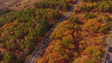 Berrak gökyüzü altındaki renkli ağaçlarla çevrili virajlı yollar boyunca bir araba seyahat ederken, Bulgaristan 'daki manzarayı canlı sonbahar yaprakları dolduruyor..
