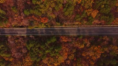 Bu hava perspektifi, Bulgaristan 'da sonbahar sezonu boyunca turuncu, sarı ve yeşil ağaçların bir karışımının yer aldığı canlı bir ormandan geçen dolambaçlı bir yolu gösteriyor..
