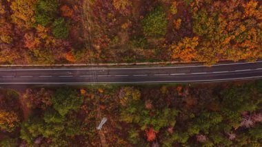 Hava perspektifi Bulgaristan 'da dolambaçlı bir yolu çevreleyen sonbahar yapraklarıyla canlı bir manzara yakalıyor. Ağaçlar zengin kırmızılar, sarılar ve yeşiller sergiliyor..