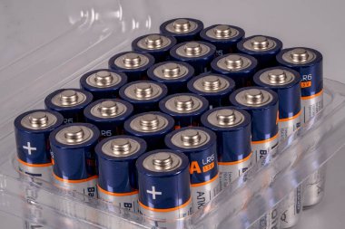 Temiz bir plastik kutu çok sayıda pili düzgünce istifler. Bu piller genellikle birçok elektronik alet ve oyuncakta kullanılır..