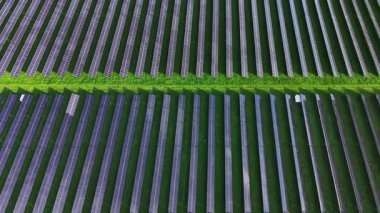 Hava perspektifi, değişen koyu çizgileri olan düzenli yeşil alanlar gösteriyor. Güneş ışığı gölgeler oluşturur, açık bir günde manzaradaki desenleri vurgular..