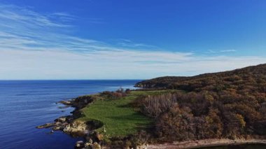 Berrak gökyüzü ve sakin sular yemyeşil bir kıyı bölgesini kuşatır. Ağaçlar kıyı boyunca uzanır, deniz kenarında huzurlu bir doğal ortam yaratır..