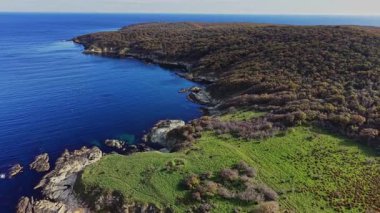 Güneşli bir günde tepeler boyunca berrak mavi suları, kayalık kıyıları ve canlı yeşillikleri gösteren sakin kıyı manzarasını bir hava manzarası yakalar..