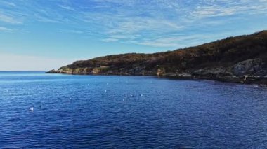 Bu hava manzarası berrak mavi suları ve nazik dalgalarıyla sakin bir kıyı şeridine sahiptir. Yeşillik kıyı şeridi boyunca uzanır. Huzurlu bir deniz manzarası yaratır..