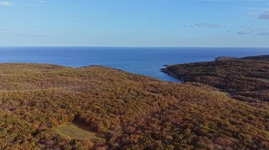 Hava perspektifi, berrak, yeşil bir manzaranın sakin bir okyanusla buluştuğunu, tepelerin berrak mavi bir gökyüzünün altında sakin bir sahil şeridine yuvarlandığını gösteriyor..