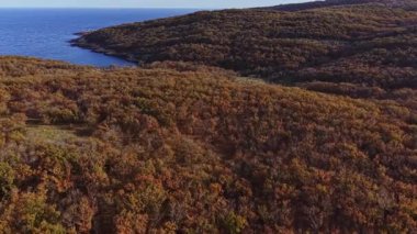 Canlı sonbahar renkleri kıyı şeridi yakınlarındaki tepeleri kaplıyor. Açık mavi su, öğleden sonra güneşinin ışığını yansıtarak çarpıcı bir doğal manzara yaratır..