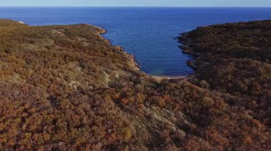 Renkli sonbahar yaprakları sakin bir sahil koyunu çevrelemiş, sakin dalgalar kıyıya vuruyor, berrak mavi gökyüzünün altında sakin bir deniz manzarası yaratıyor..