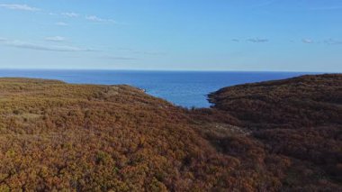 Bu hava manzarası sonbaharda sakin bir manzarayı sergiliyor, yoğun bitki örtüsünün sakin okyanusa geçtiği. Güneş ışığı huzurlu sahneyi aydınlatır..